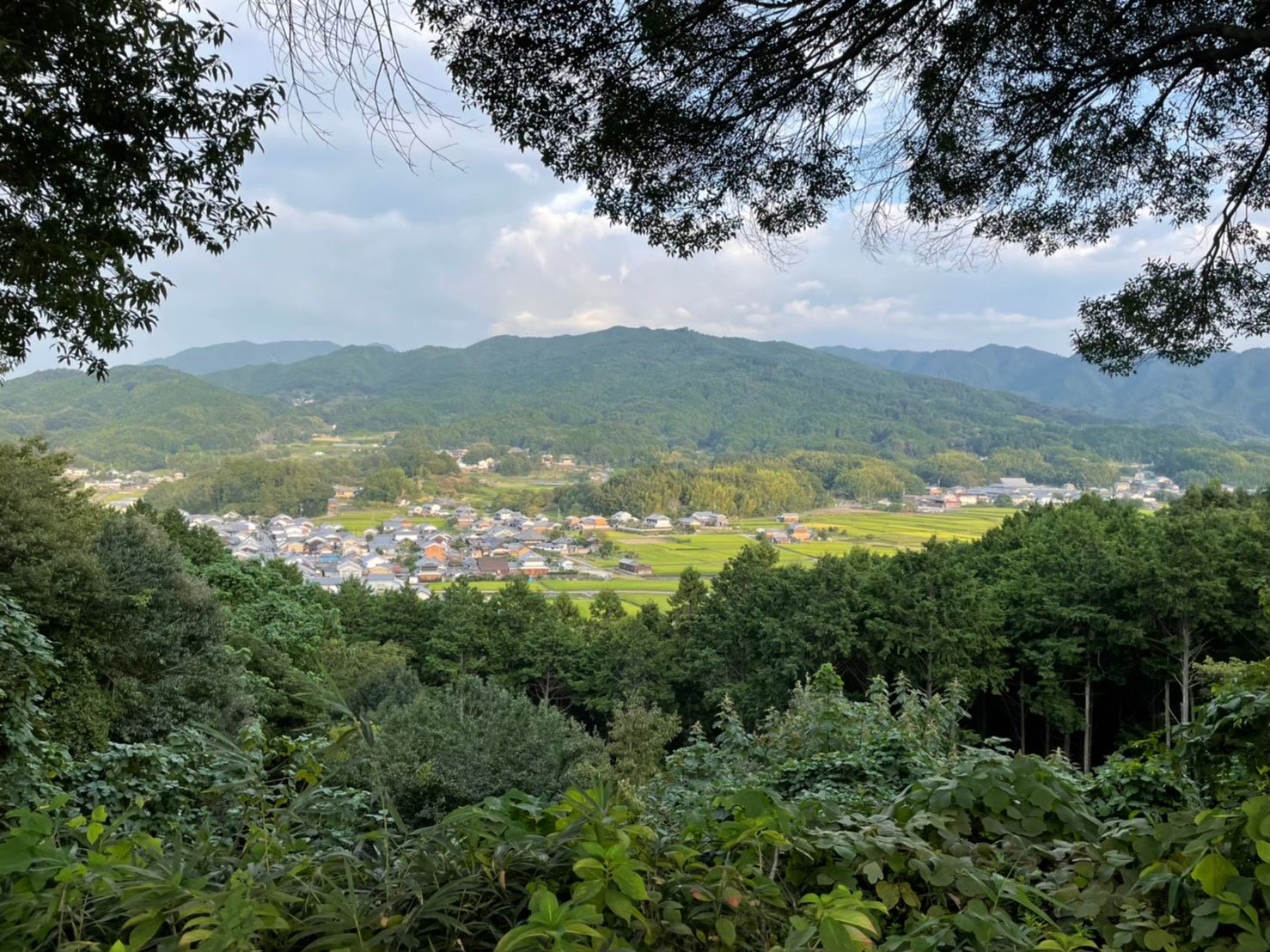 明日香村甘樫丘からの写真