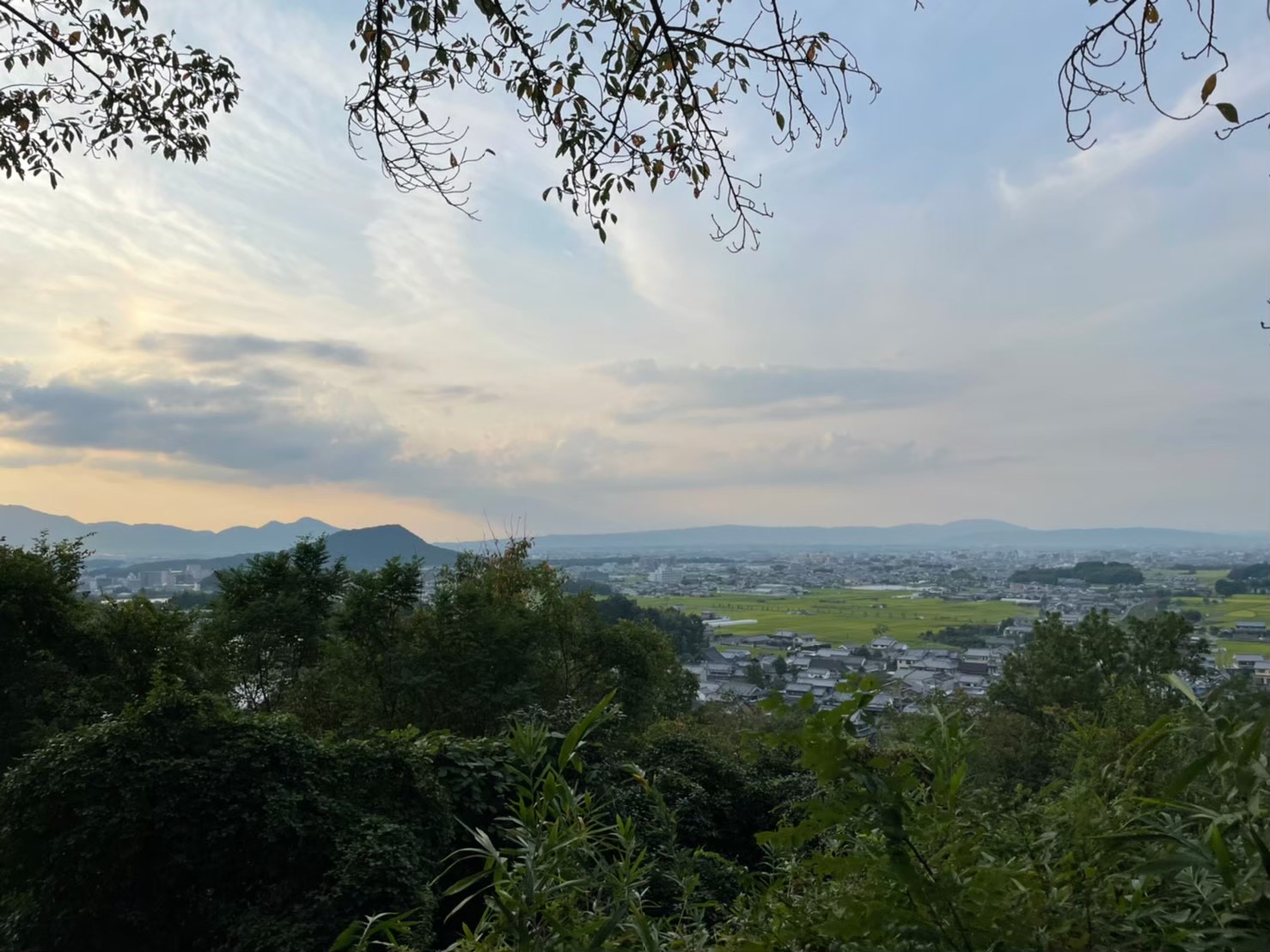 甘樫丘から畝傍山の写真